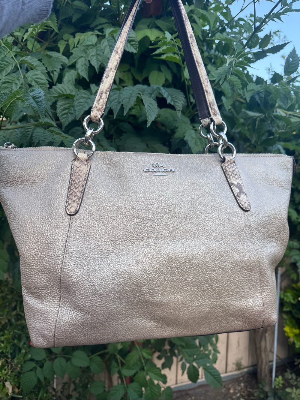 Coach Ava Tote in Metallic Leather with Exotic Python Trim